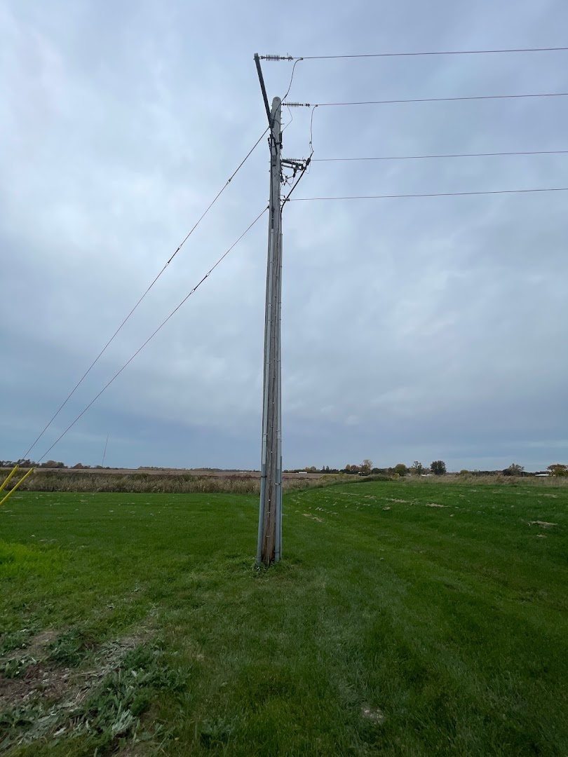 MEMPHIS DELTA GROUP INC.