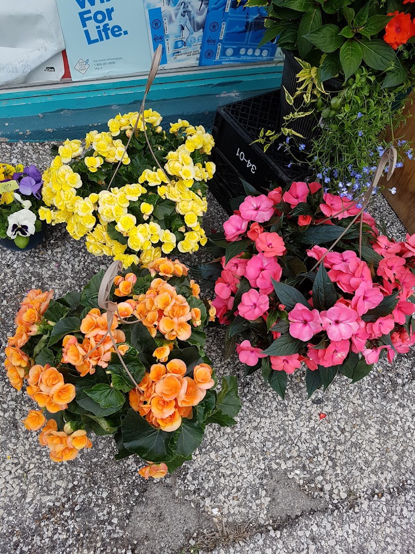 Mr C Florals & Balloons