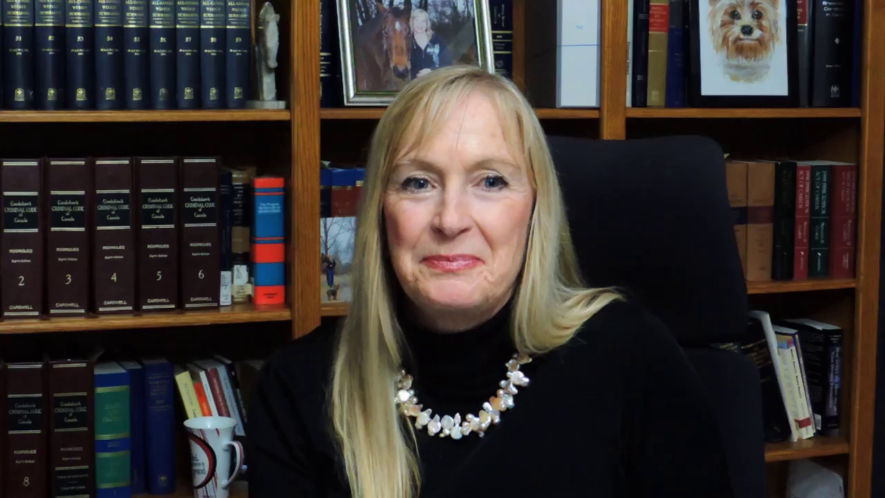 My Virtual Divorce Lawyer