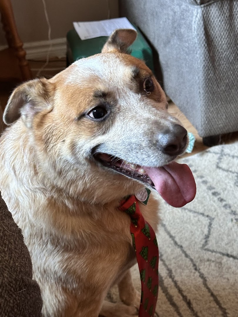 Rivertown Groom Room