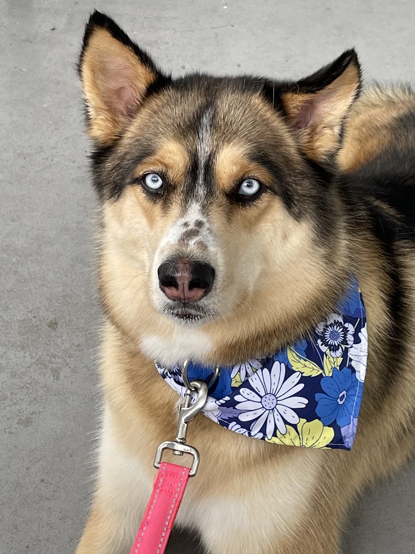 Rivertown Groom Room