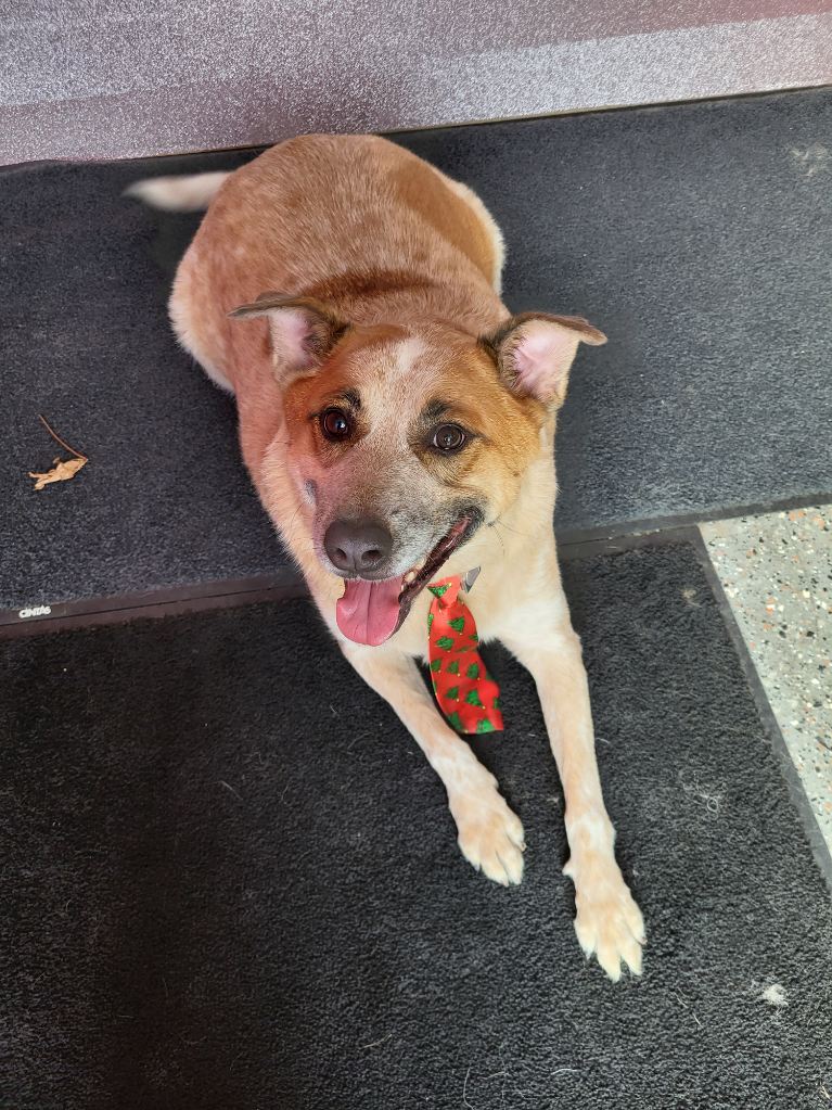 Rivertown Groom Room