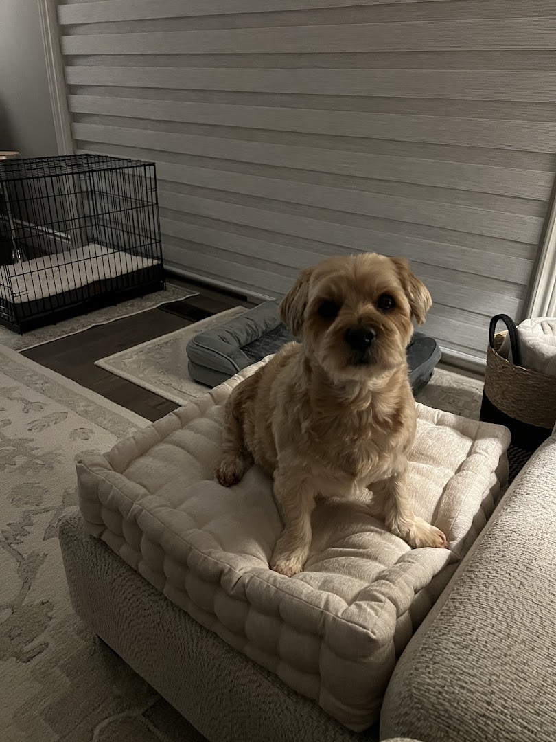 Rivertown Groom Room