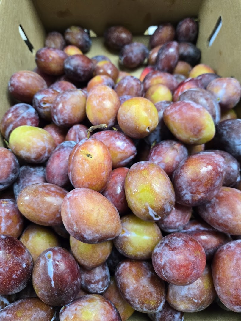 SAMCO PRODUCE أسواق سامكو