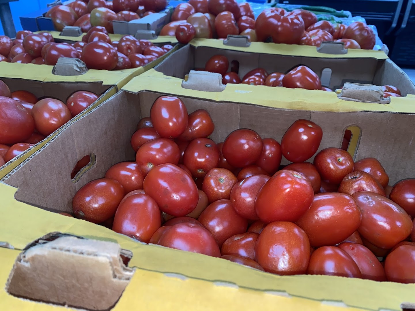 SAMCO PRODUCE أسواق سامكو