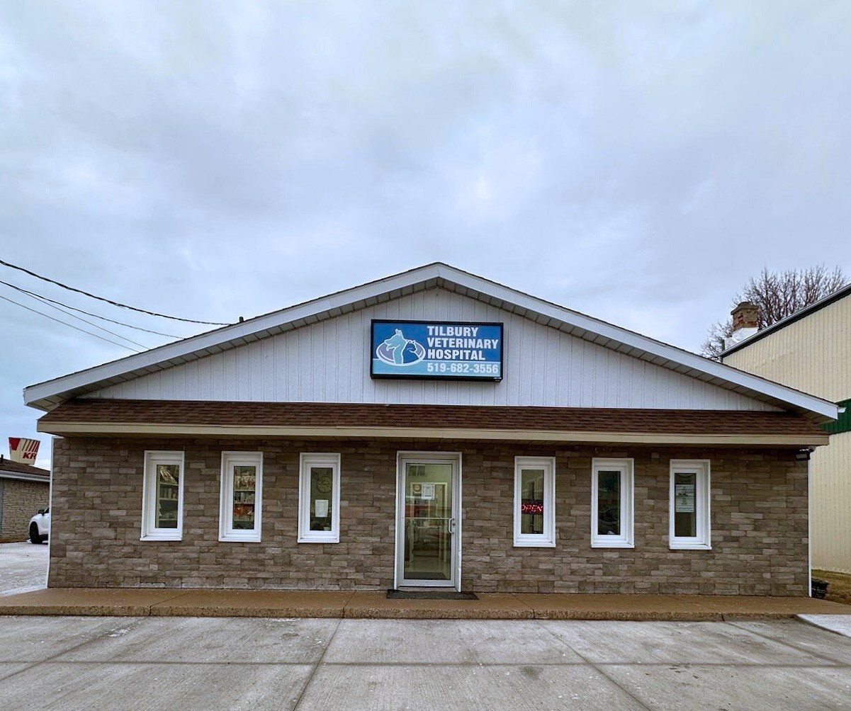 Tilbury Veterinary Hospital