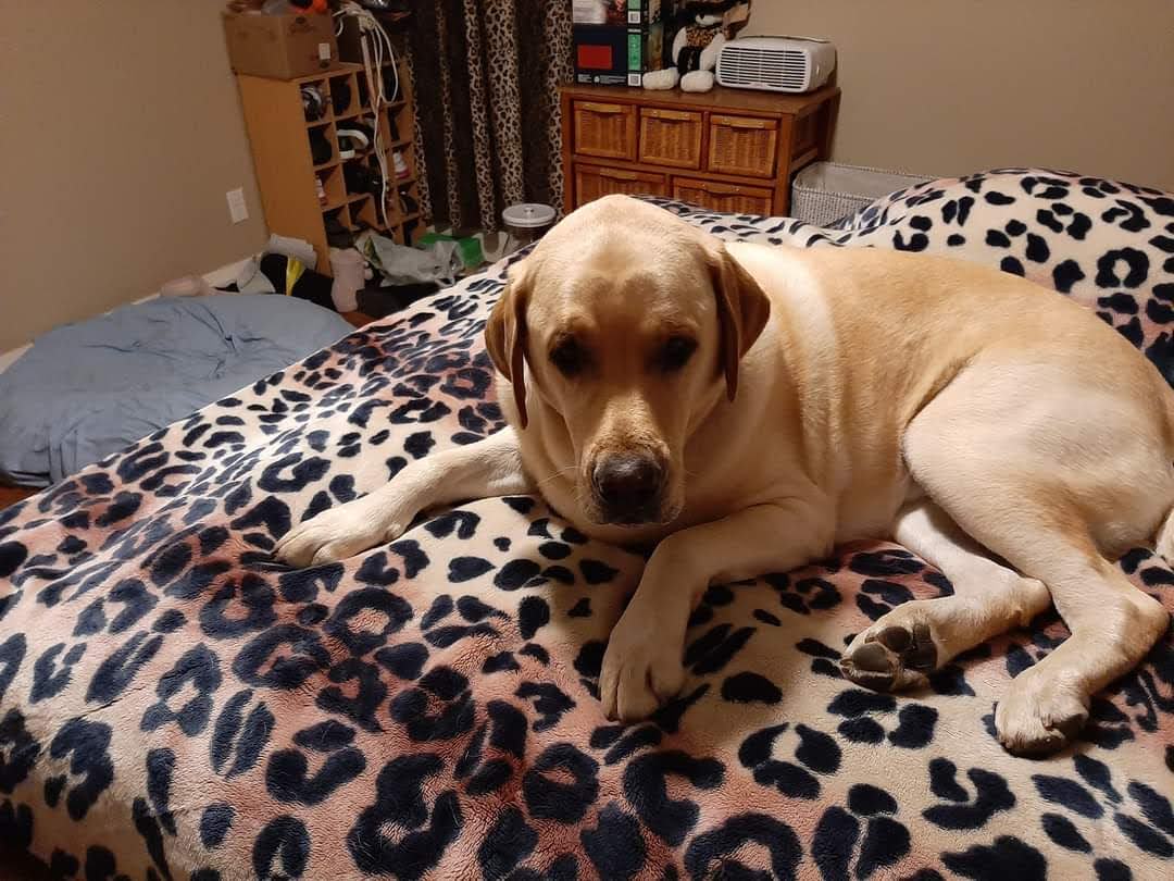 Tilbury Veterinary Hospital