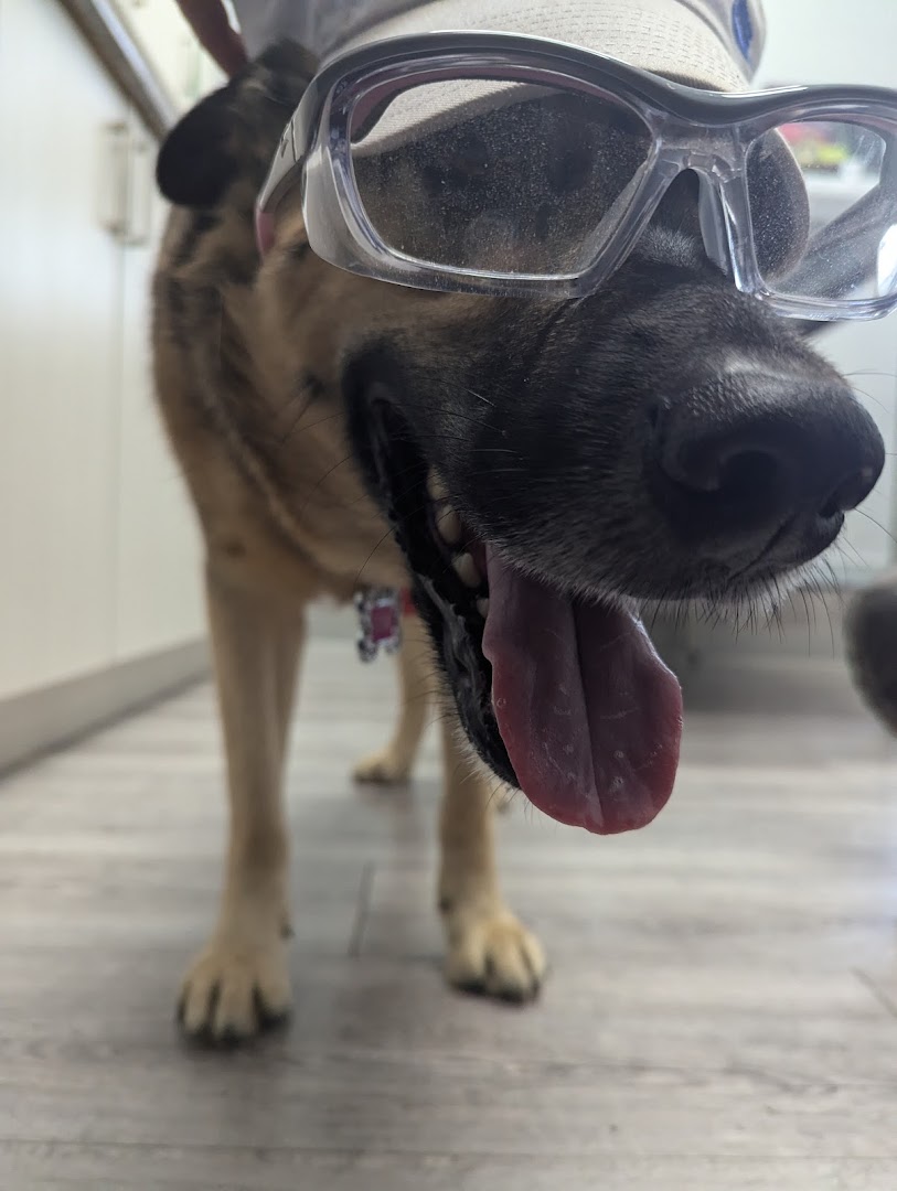 Tilbury Veterinary Hospital